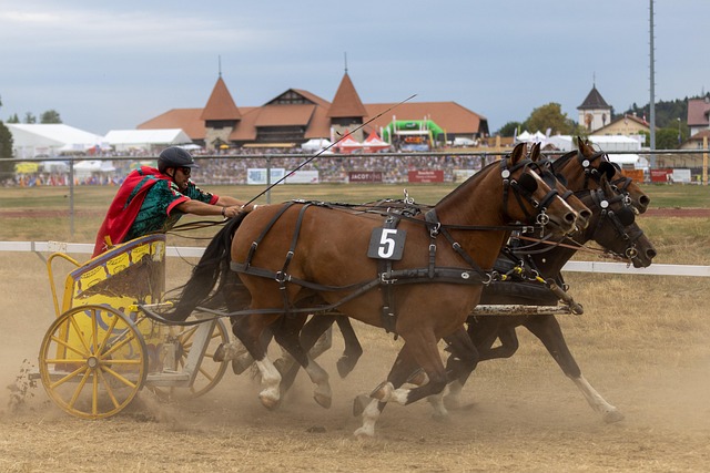 颂克拉辛以 颂克拉辛以